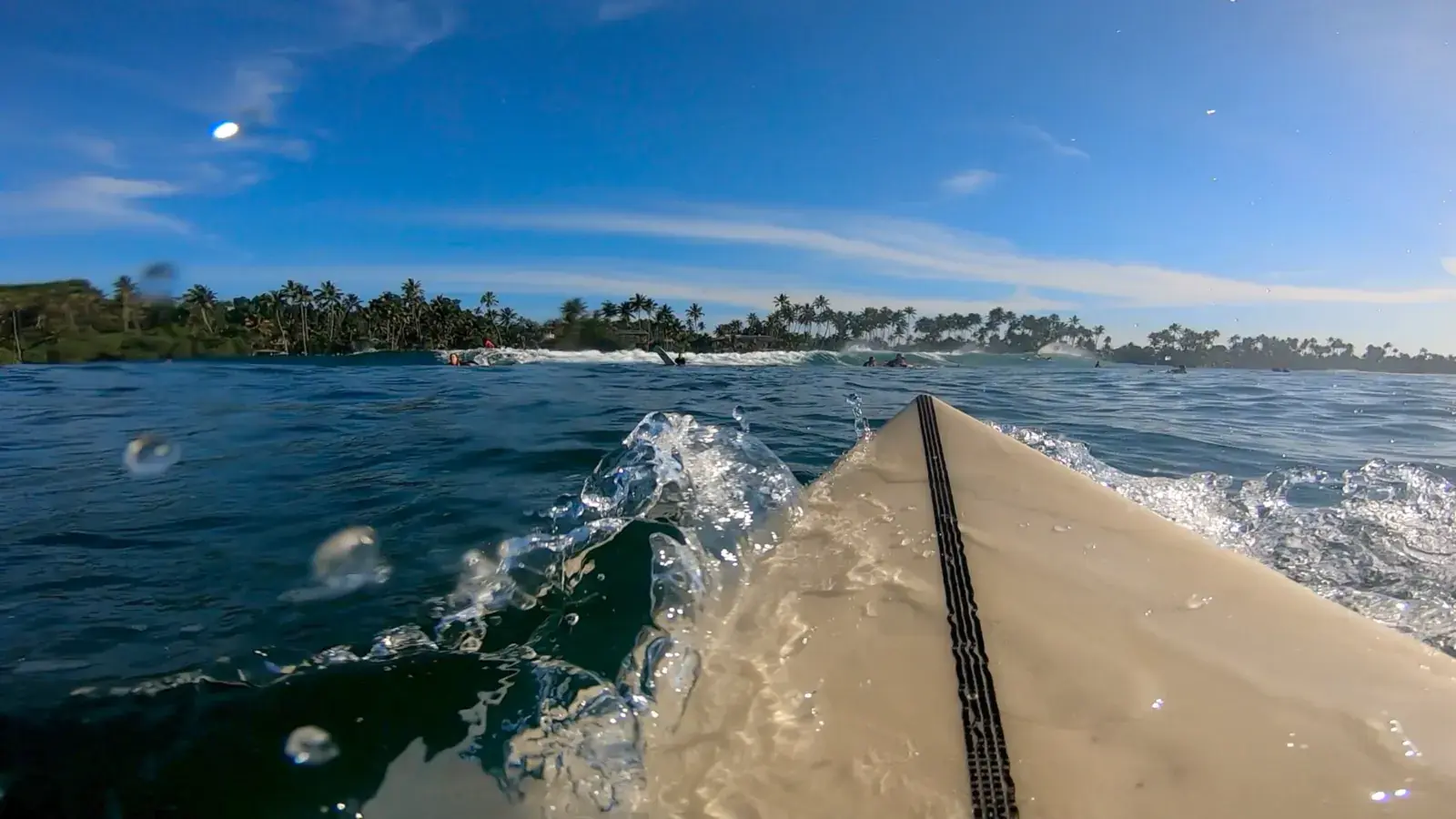 View over the nose of a surfboard, paddling toward a palm-lined shore