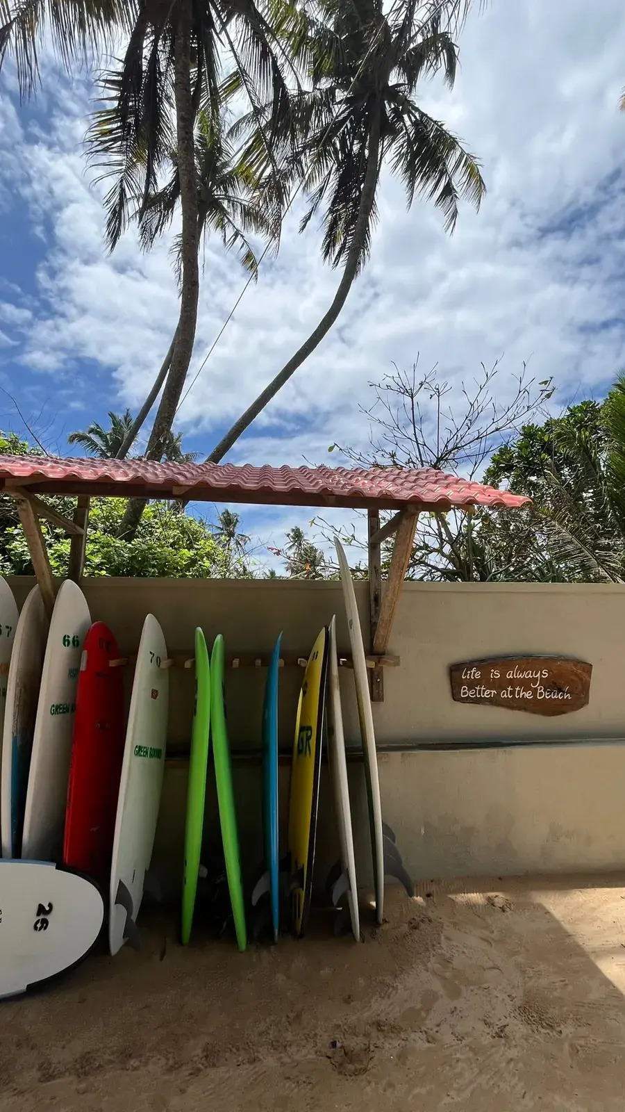 Surfboards racked under a small shelter by the beach