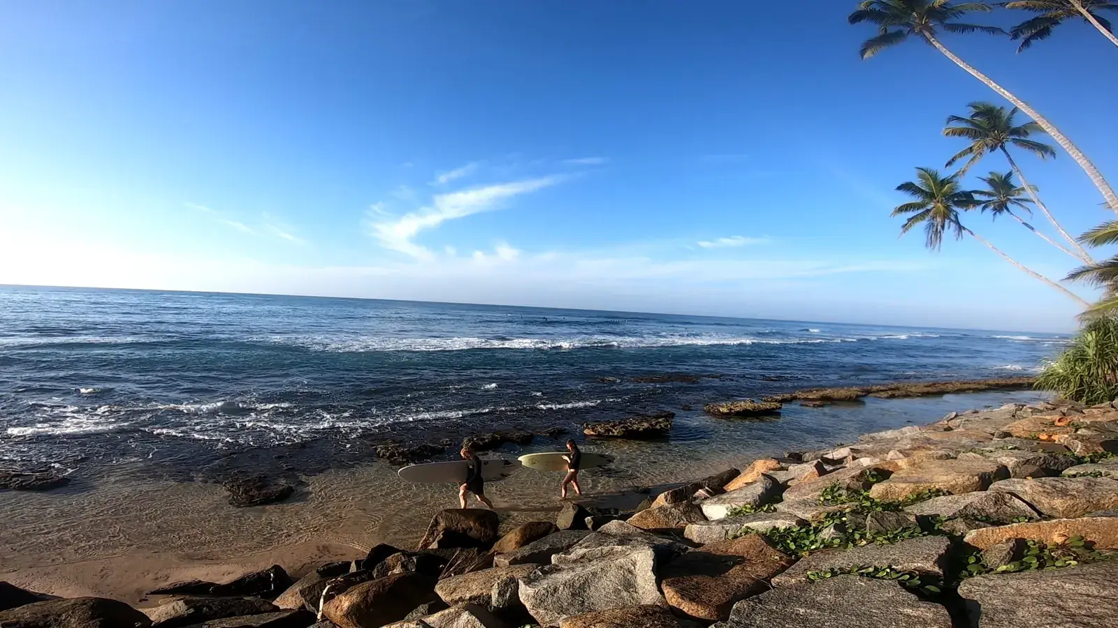 Rocky shoreline with palm trees under a blue sky
